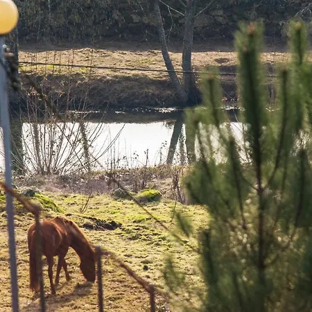 Сasa de vacaciones Casa Senhor Da Ponte Mondim de Basto