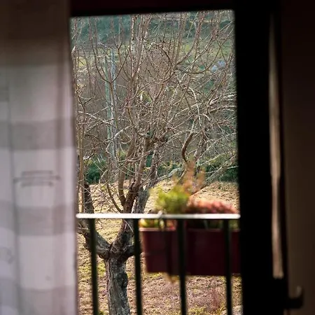 Casa Senhor Da Ponte