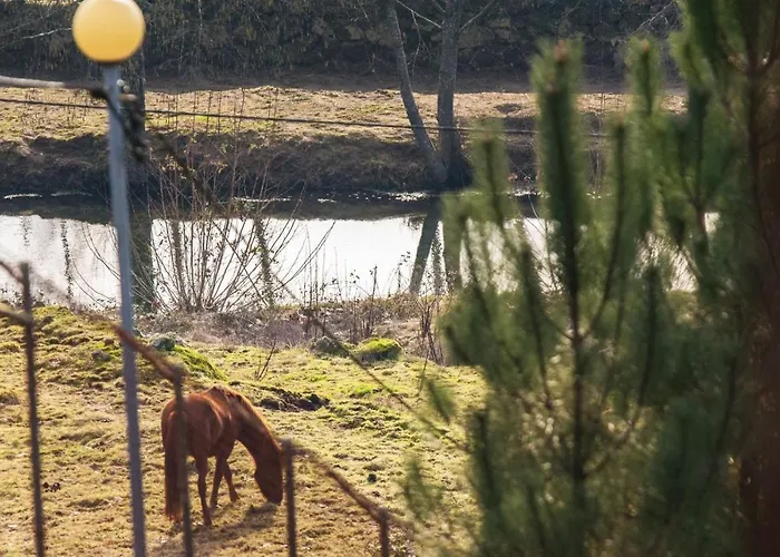 Дом отдыха Casa Senhor Da Ponte Мондин-ди-Башту