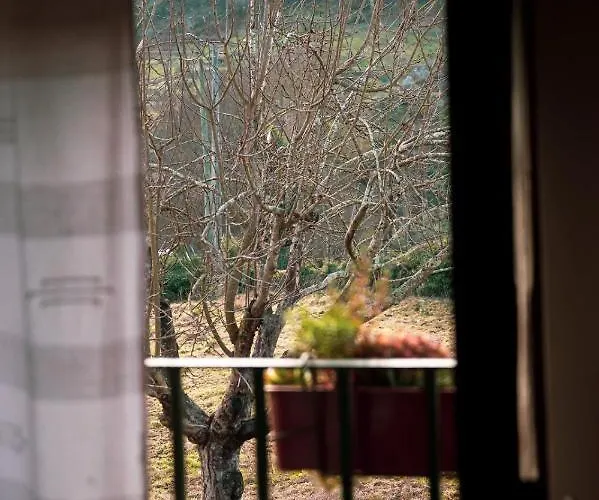 Casa Senhor Da Ponte